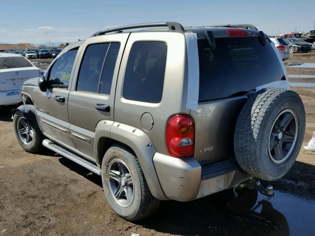 1J4GK38K83W579704 - 2003 JEEP LIBERTY RE GOLD photo 3