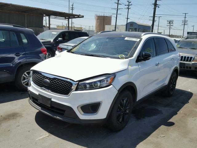 5XYPG4A5XGG109355 - 2016 KIA SORENTO LX WHITE photo 2