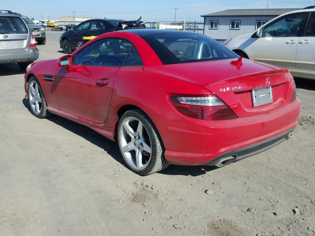 WDDPK4HA0FF103363 - 2015 MERCEDES-BENZ SLK 250 RED photo 3