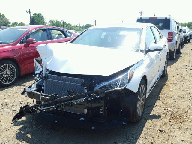 5NPE34AFXHH527887 - 2017 HYUNDAI SONATA SPO WHITE photo 2