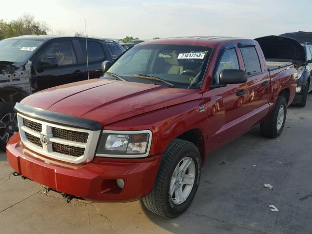 1D7CW3GP9AS200550 - 2010 DODGE DAKOTA SXT RED photo 2