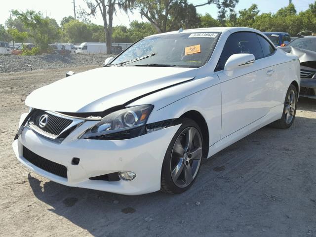 JTHFE2C29B2506145 - 2011 LEXUS IS 350 WHITE photo 2