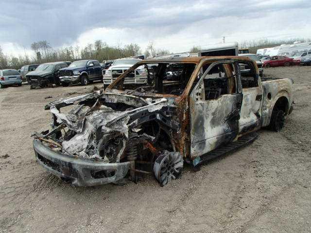 1FTFW1R66DFA14574 - 2013 FORD F150 SVT R BURN photo 2