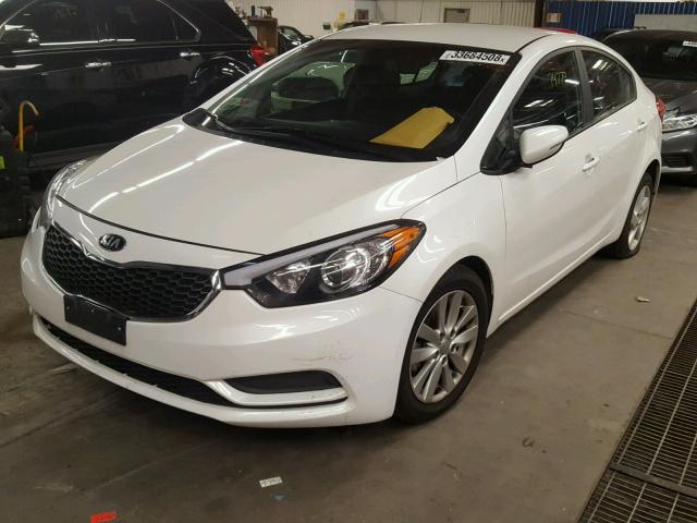 KNAFX4A64G5558296 - 2016 KIA FORTE LX WHITE photo 2