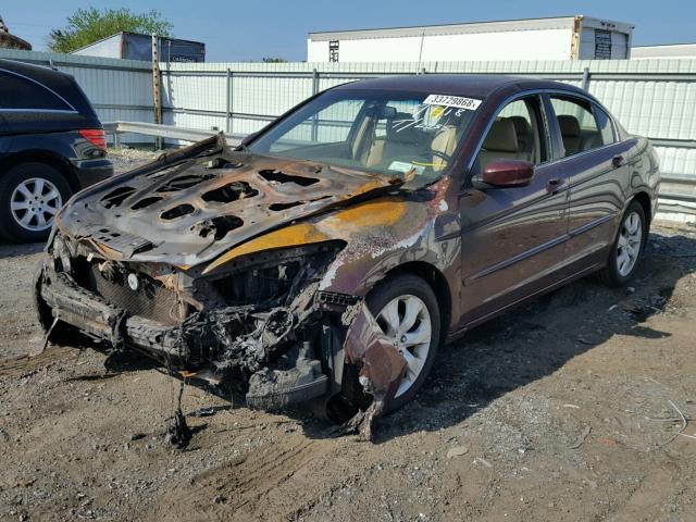 1HGCP2F8XAA031464 - 2010 HONDA ACCORD EXL RED photo 2