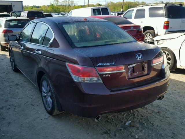 1HGCP3F80BA012641 - 2011 HONDA ACCORD EXL BURGUNDY photo 3