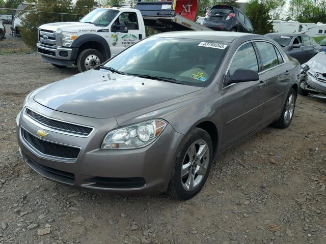 1G1ZB5EB2AF298633 - 2010 CHEVROLET MALIBU LS 棕色 照片 2