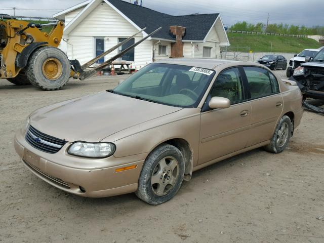 1G1NE52J22M682992 - 2002 CHEVROLET MALIBU LS Qəhvəyi foto 2