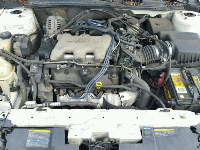 1G1ND52J53M552743 - 2003 CHEVROLET MALIBU WHITE photo 7