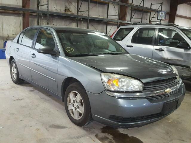1G1ZT54815F222880 - 2005 CHEVROLET MALIBU LS GRAY photo 1