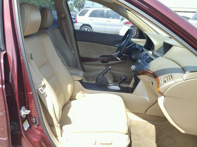 1HGCP36859A040395 - 2009 HONDA ACCORD EXL RED photo 5