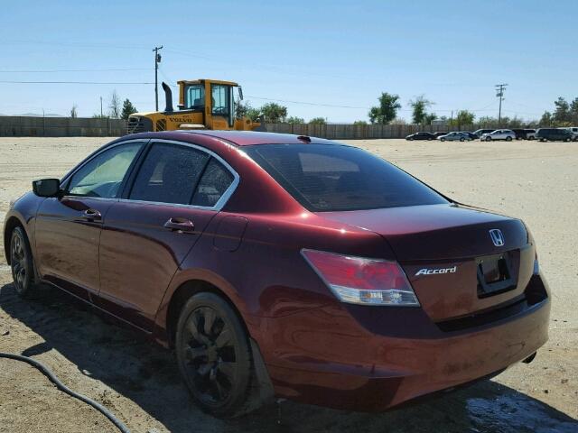 JHMCP268X8C045151 - 2008 HONDA ACCORD EXL BURGUNDY photo 3