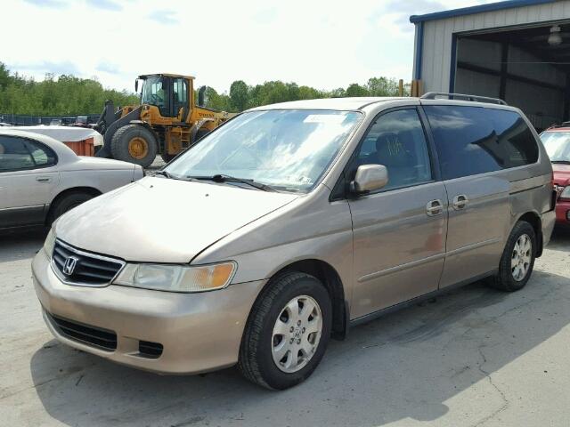 2HKRL18923H505746 - 2003 HONDA ODYSSEY EX GOLD photo 2