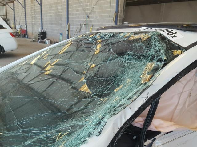 19XFB2F97FE056698 - 2015 HONDA CIVIC EXL WHITE photo 10