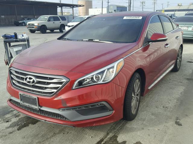 5NPE34AF2GH368183 - 2016 HYUNDAI SONATA SPO RED photo 2