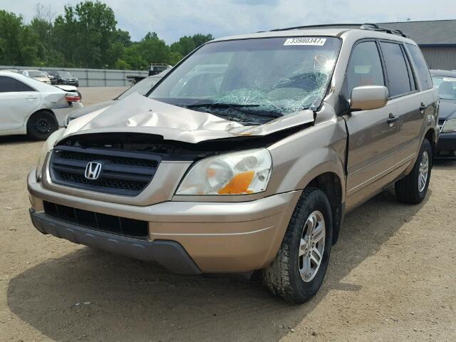 5FNYF18505B025139 - 2005 HONDA PILOT EXL GOLD photo 2