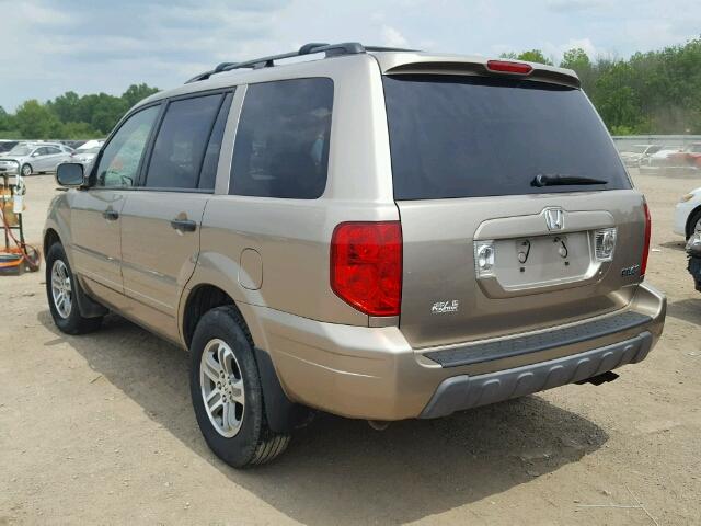 5FNYF18505B025139 - 2005 HONDA PILOT EXL GOLD photo 3