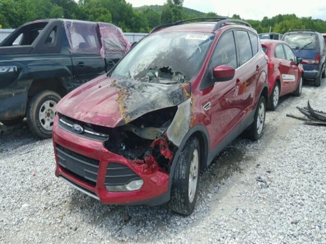 1FMCU9G92DUC95574 - 2013 FORD ESCAPE SE RED photo 2