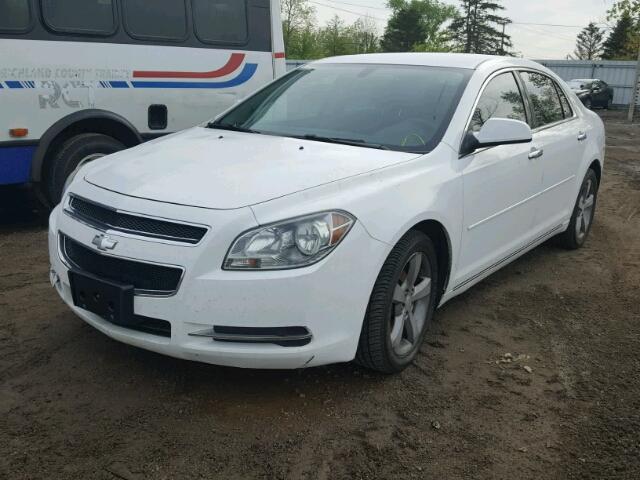 1G1ZC5E05CF146974 - 2012 CHEVROLET MALIBU 1LT 白色 照片 2