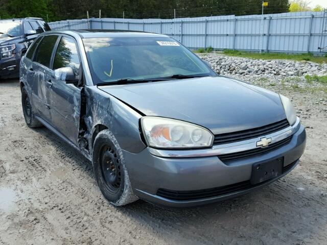 1G1ZT64885F340544 - 2005 CHEVROLET MALIBU MAX GRAY photo 1