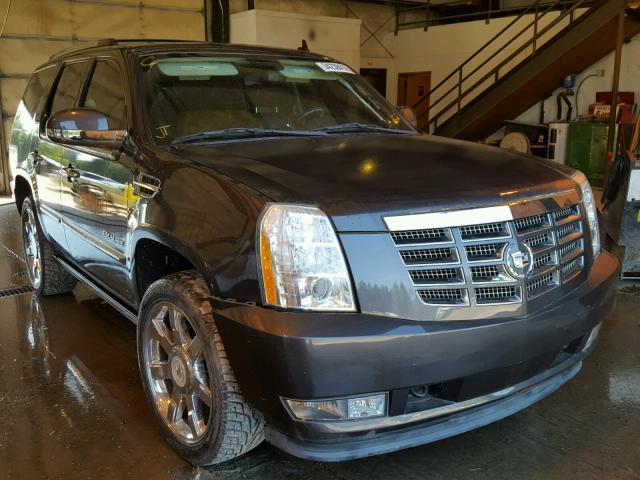 1GYUCCEF4AR252171 - 2010 CADILLAC ESCALADE P GRAY photo 1