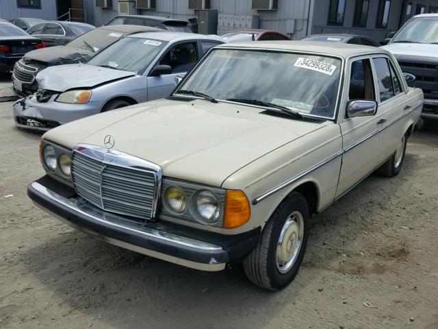 WDBAB23A4BB261880 - 1981 MERCEDES-BENZ 240 D CREAM photo 2