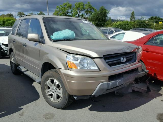 2HKYF18443H529067 - 2003 HONDA PILOT EX GOLD photo 1