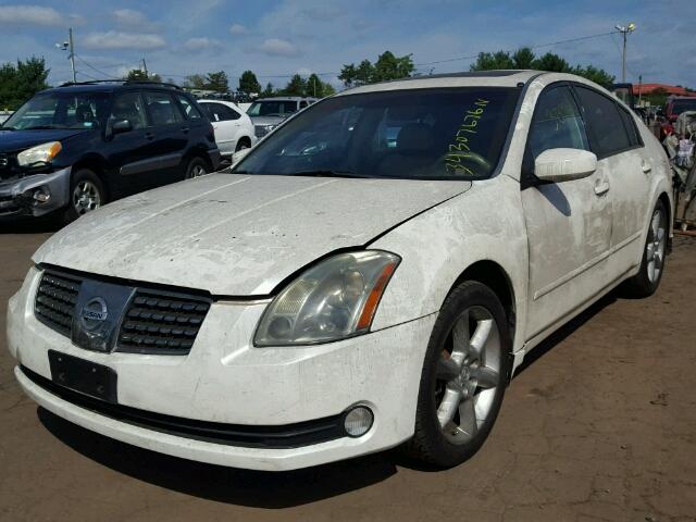 1N4BA41E84C853084 - 2004 NISSAN MAXIMA SE WHITE photo 2