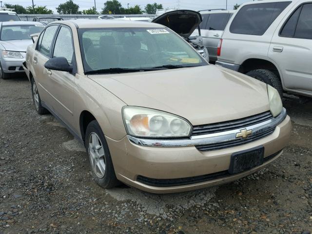 1G1ZT52895F240076 - 2005 CHEVROLET MALIBU LS ოქროსფერი ფოტო 1