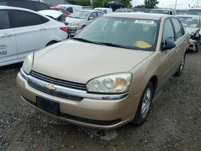 1G1ZT52895F240076 - 2005 CHEVROLET MALIBU LS ოქროსფერი ფოტო 2