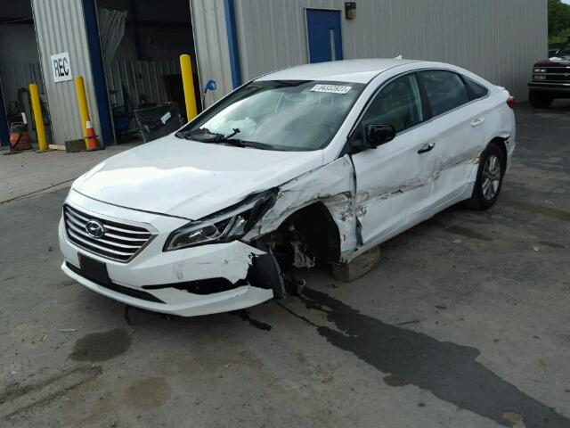 5NPE24AF3GH336569 - 2016 HYUNDAI SONATA SE WHITE photo 2