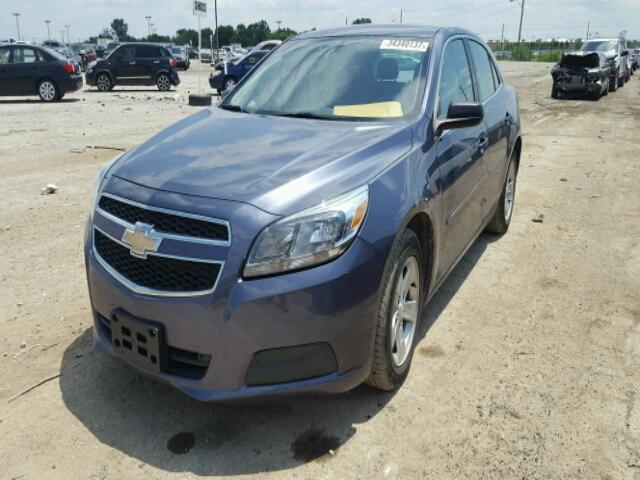 1G11B5SA5DF339446 - 2013 CHEVROLET MALIBU LS ლურჯი ფოტო 2
