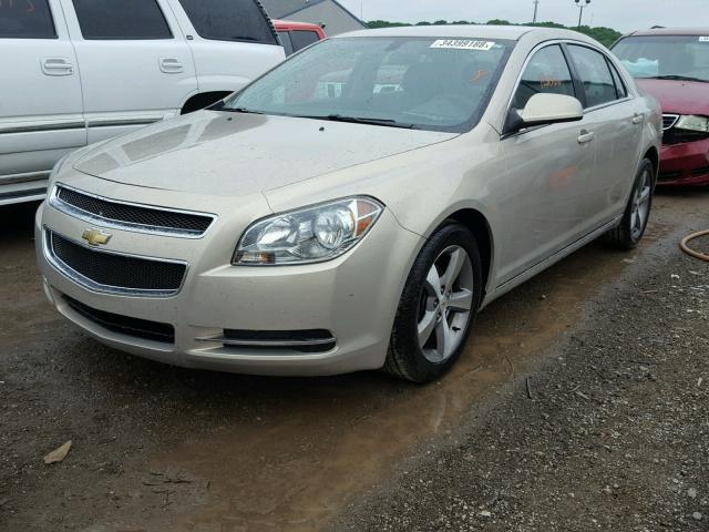 1G1ZC5EUXBF162153 - 2011 CHEVROLET MALIBU 1LT 金色 照片 2