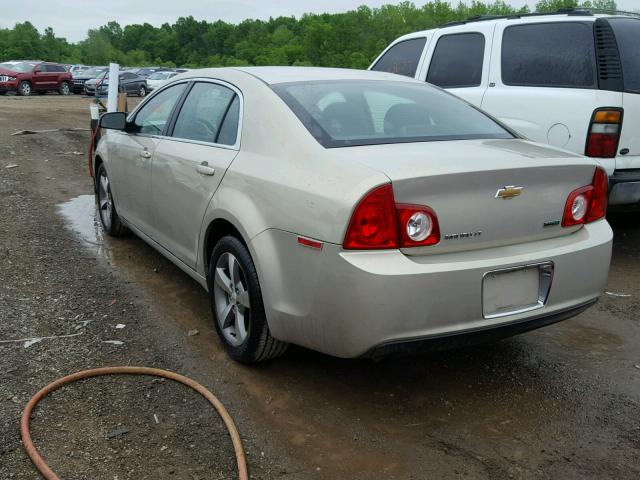 1G1ZC5EUXBF162153 - 2011 CHEVROLET MALIBU 1LT 金色 照片 3