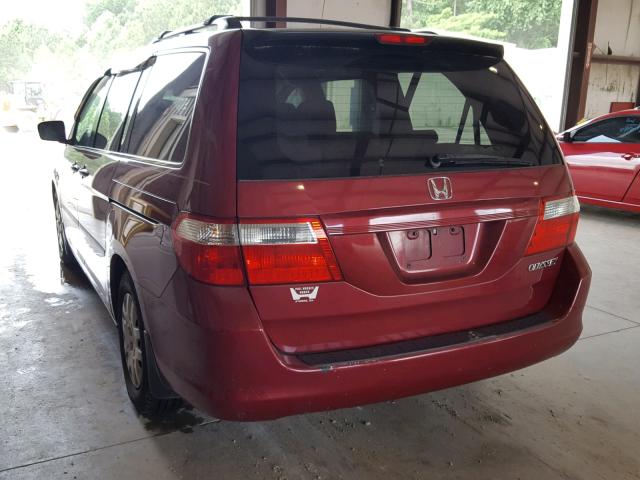 5FNRL38255B095721 - 2005 HONDA ODYSSEY LX RED photo 3