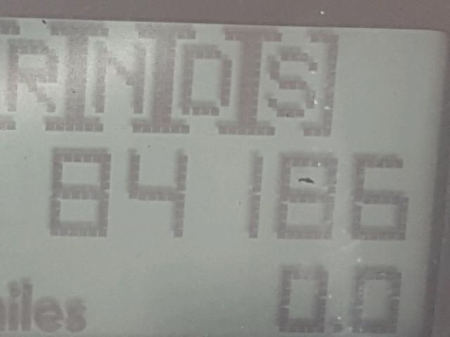 3VWCK31C95M409567 - 2005 VOLKSWAGEN NEW BEETLE 银色 照片 8