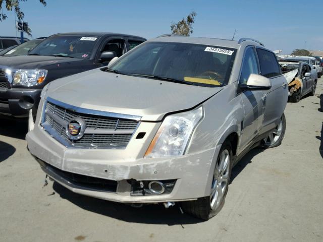 3GYFNEEY6AS586828 - 2010 CADILLAC SRX PERFOR 米色 照片 2