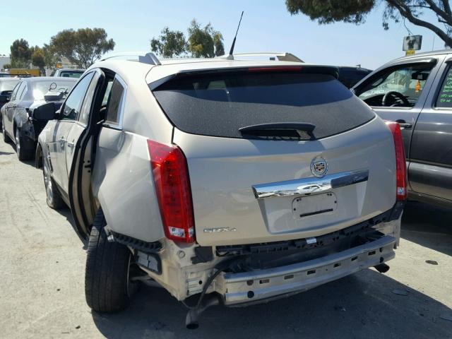 3GYFNEEY6AS586828 - 2010 CADILLAC SRX PERFOR BEIGE photo 3