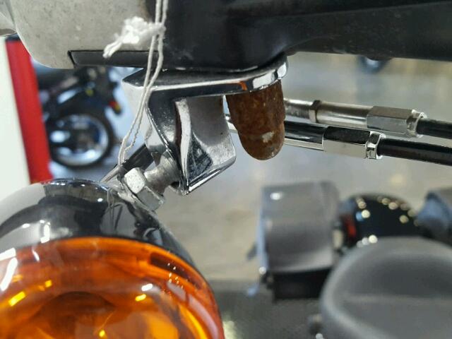 1HD1JRV19DB023776 - 2013 HARLEY-DAVIDSON FLS SOFTAI 黑色 照片 13