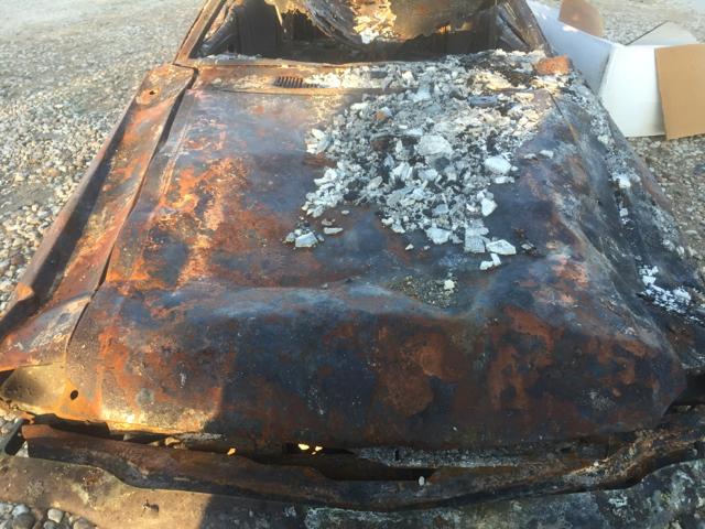 6R07T240110 - 1966 FORD MUSTANG BURN photo 7