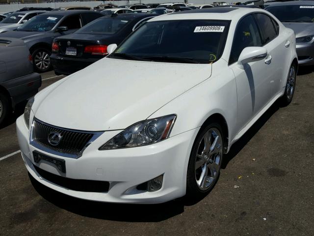 JTHBF5C26A5124987 - 2010 LEXUS IS 250 WHITE photo 2