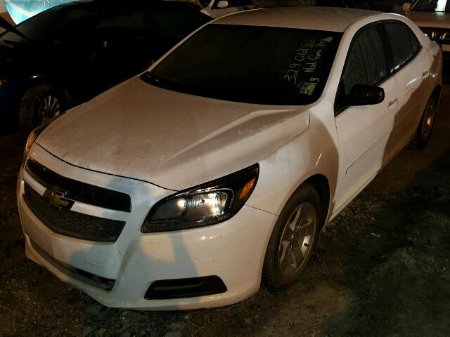 1G11B5SA8DF348738 - 2013 CHEVROLET MALIBU LS 白色 照片 2