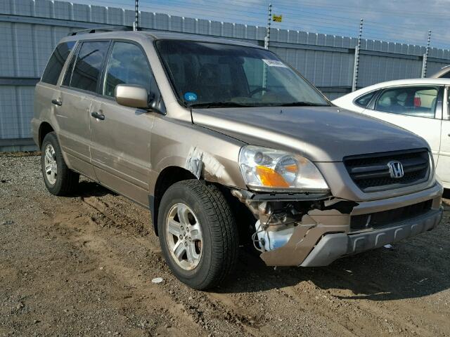 5FNYF18675B052816 - 2005 HONDA PILOT EXL GOLD photo 1