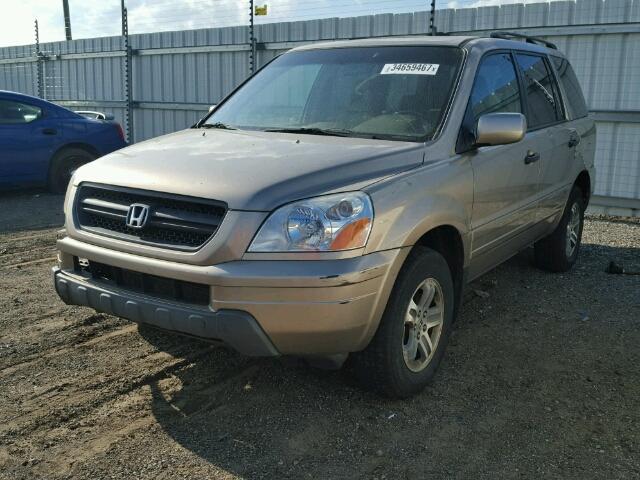 5FNYF18675B052816 - 2005 HONDA PILOT EXL GOLD photo 2