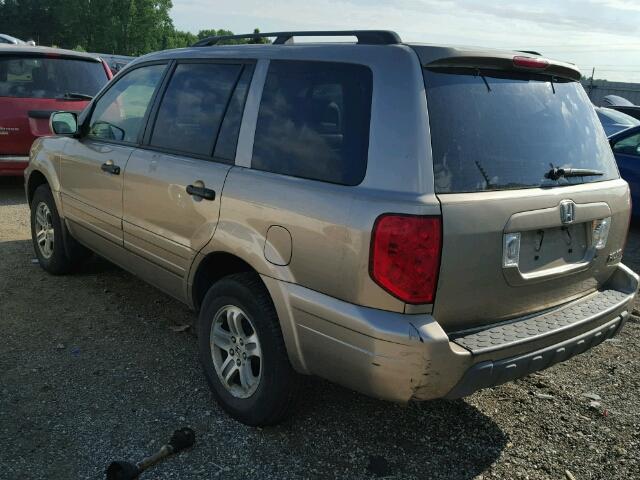 5FNYF18675B052816 - 2005 HONDA PILOT EXL GOLD photo 3