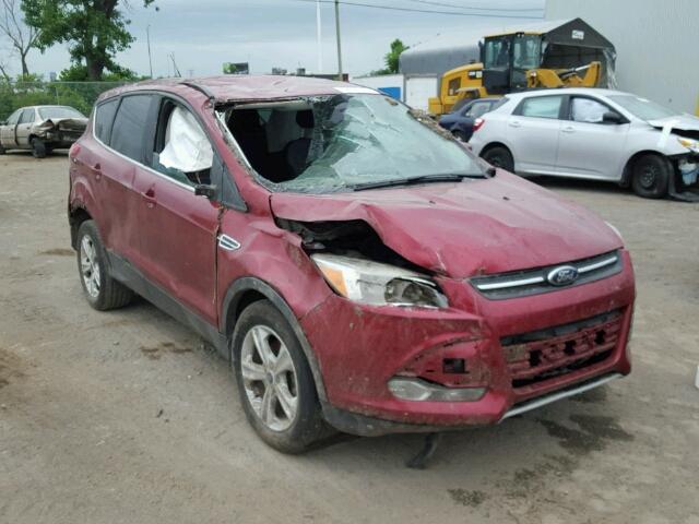 1FMCU0GX3DUB72828 - 2013 FORD ESCAPE RED photo 1