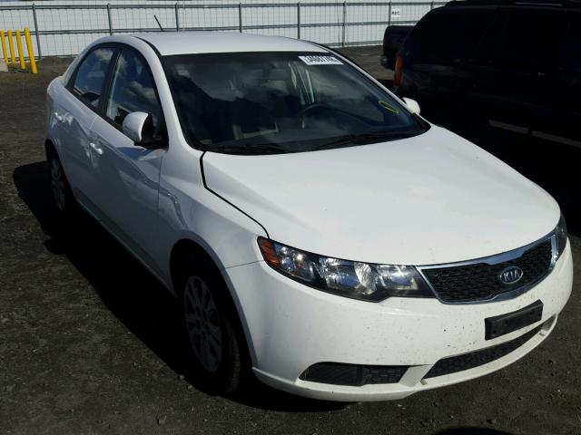 KNAFT4A25D5691511 - 2013 KIA FORTE LX WHITE photo 1