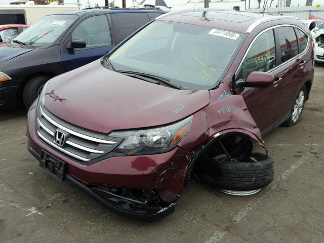 5J6RM3H70EL029707 - 2014 HONDA CR-V EXL BURGUNDY photo 2