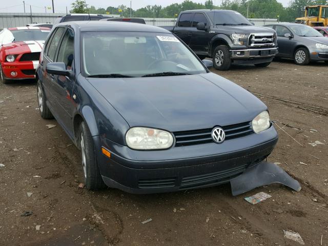 9BWFL61J064006335 - 2006 VOLKSWAGEN GOLF GL GRAY photo 1