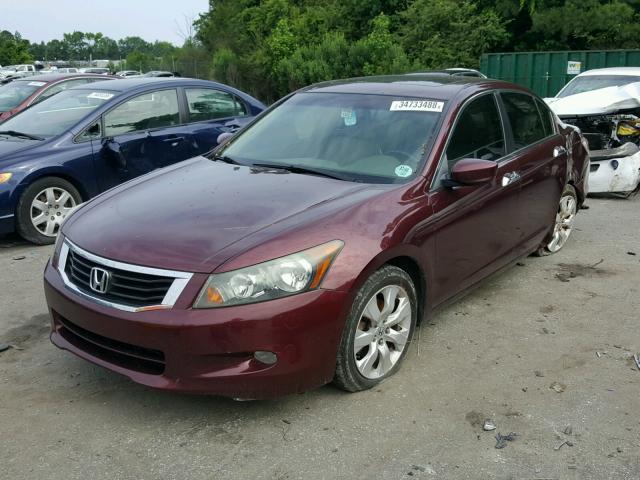 1HGCP368X8A018813 - 2008 HONDA ACCORD EXL PURPLE photo 2